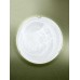 Настенно-потолочный светильник Vitaluce V6231/2A Золотой