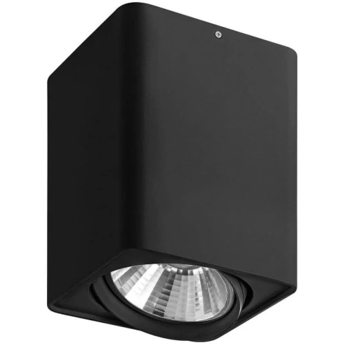 Потолочный светильник Lightstar Monocco 212637 черная