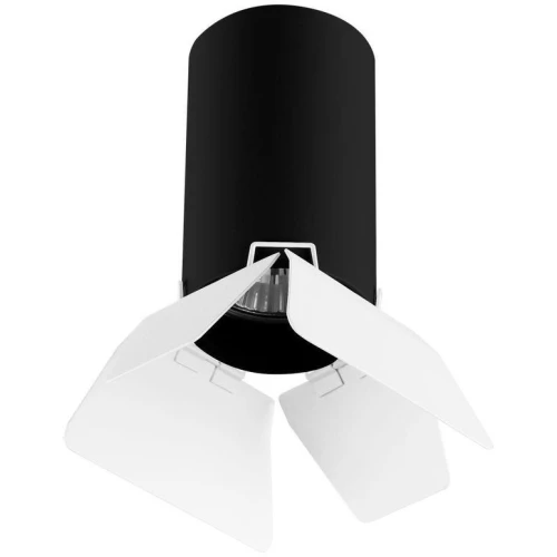 Потолочный светильник Lightstar Rullo (214437+202436) R437436 черная