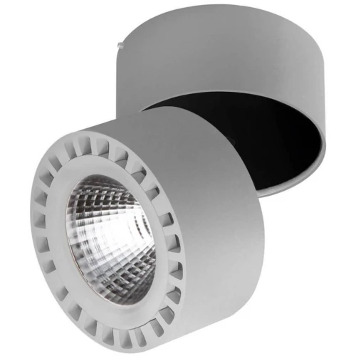 Потолочный светодиодный светильник Lightstar Forte 381393 серый