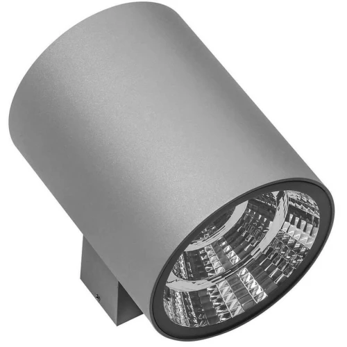 Уличный настенный светодиодный светильник Lightstar Paro 371592 серый