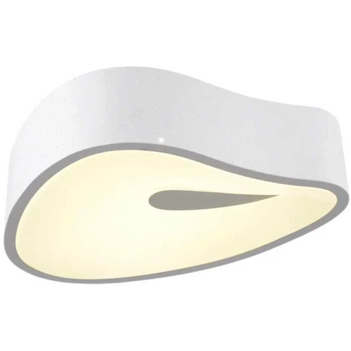 Потолочный светодиодный светильник Omnilux OML-45507-25 Белый