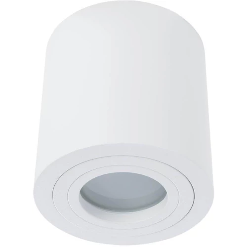 Потолочный светильник Divinare Galopin 1460/03 PL-1 Белый