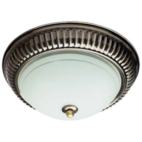 Потолочный светильник Arte Lamp 28 A3016PL-2AB Белый