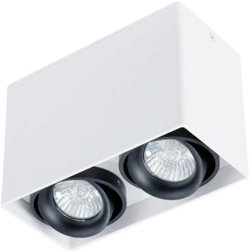 Потолочный светильник Arte Lamp A5655PL-2WH Белый