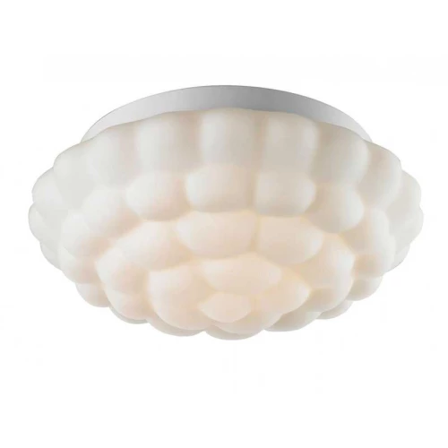 Потолочный светильник Arte Lamp Aqua A5130PL-2WH Белый