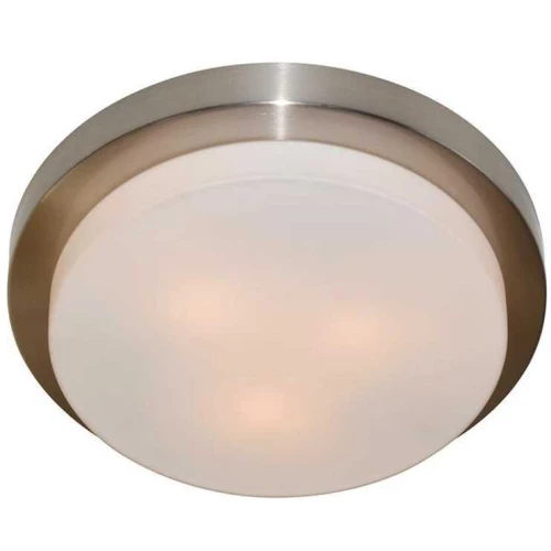 Потолочный светильник Arte Lamp Aqua A8510PL-3SS Серебро