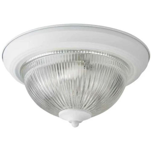 Потолочный светильник Arte Lamp Aqua A9370PL-2WH Белый