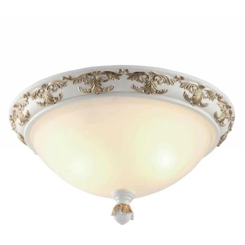 Потолочный светильник Arte Lamp Benessere A9570PL-2WG Белый