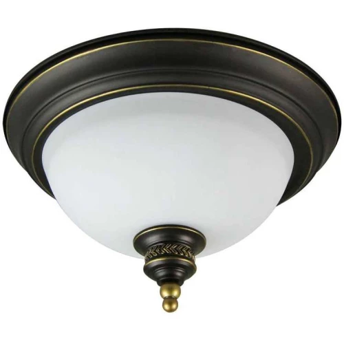 Потолочный светильник Arte Lamp Bonito A9518PL-2BA Белый