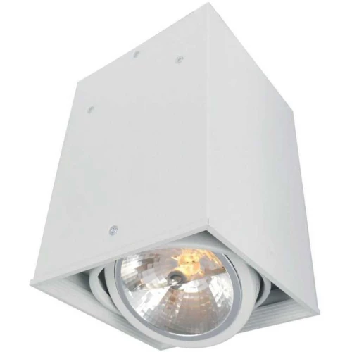 Потолочный светильник Arte Lamp Cardani A5936PL-1WH Белый