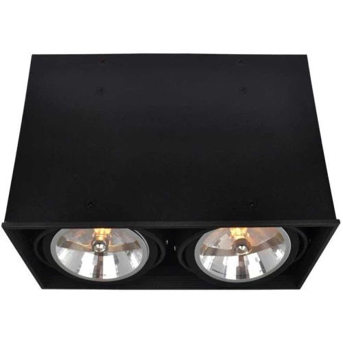 Потолочный светильник Arte Lamp Cardani A5936PL-2BK Черный