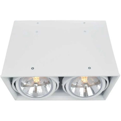 Потолочный светильник Arte Lamp Cardani A5936PL-2WH Белый
