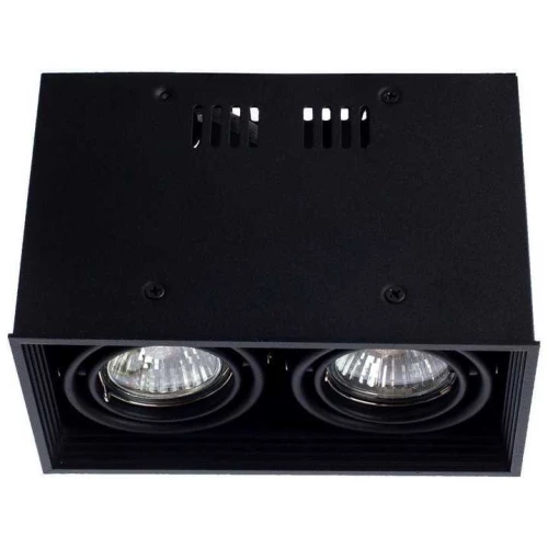 Потолочный светильник Arte Lamp Cardani A5942PL-2BK Черный