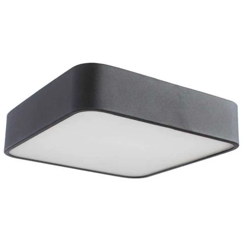 Потолочный светильник Arte Lamp Cosmopolitan A7210PL-2BK Черный