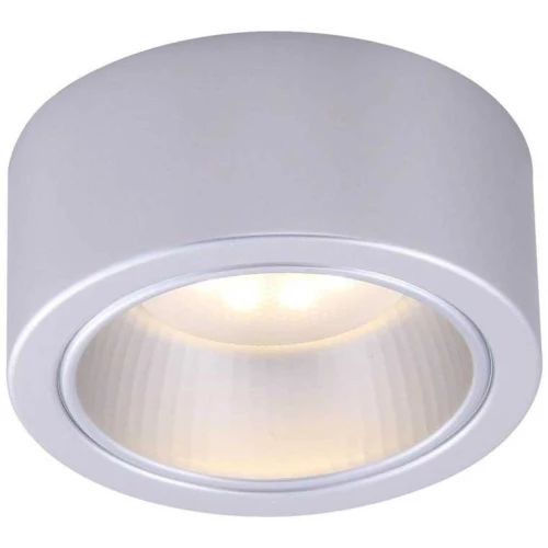 Потолочный светильник Arte Lamp Effetto A5553PL-1GY Серый