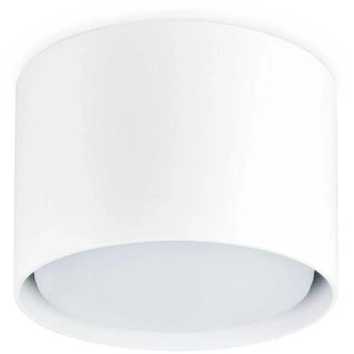 Потолочный светильник Ambrella light Techno Spot TN5301 Белый