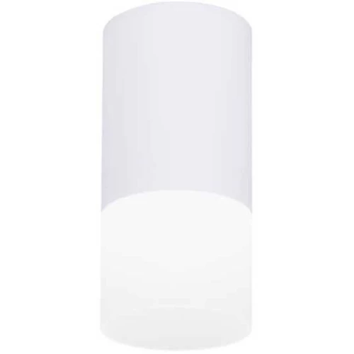 Потолочный светодиодный светильник Ambrella light Techno Spot TN231 Белый
