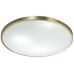 Настенно-потолочный светодиодный светильник Sonex Pale Lota bronze 2089/DL Белый