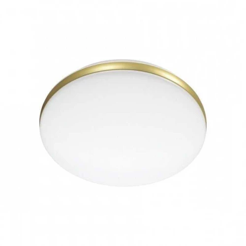 Настенно-потолочный светодиодный светильник Sonex Ringo 7626/CL Белый